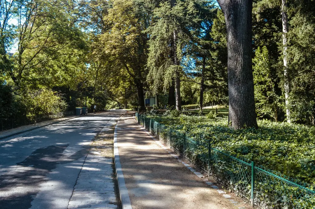 Allée d’un parc parisien bordée d’arbres