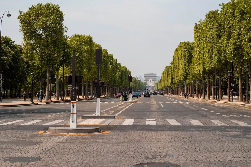 Avenue arborée menant à l’Arc de Triomphe