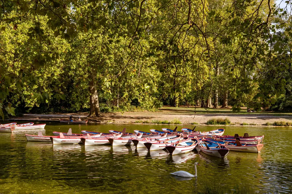 Barques sur un lac du bois de Vincennes en automne
