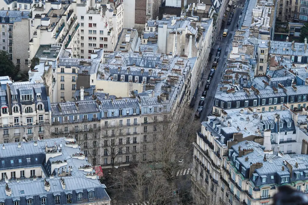 Toits parisiens en hiver vus du ciel