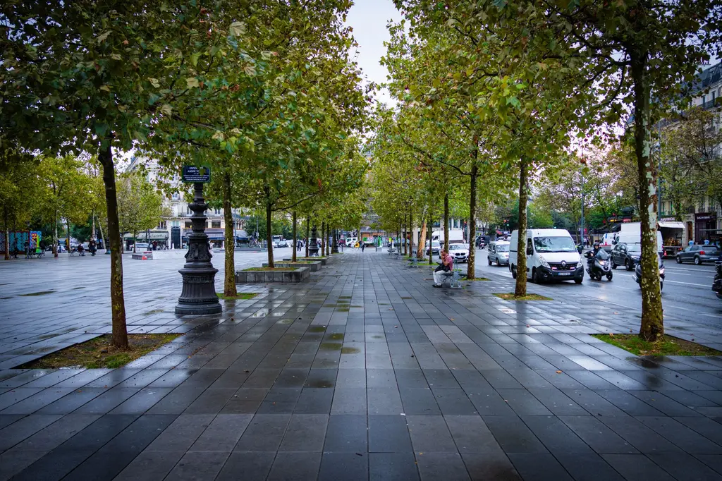 Trottoir bordé d’arbres après la pluie